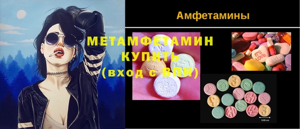 гидра Покачи