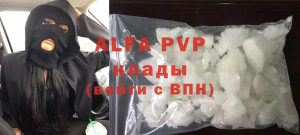 гидра Покачи