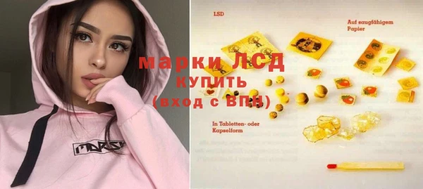 спайс Пересвет