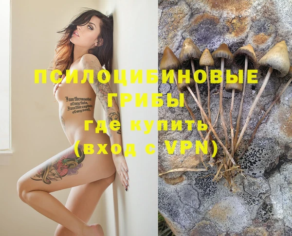 MDMA Premium VHQ Ветлуга