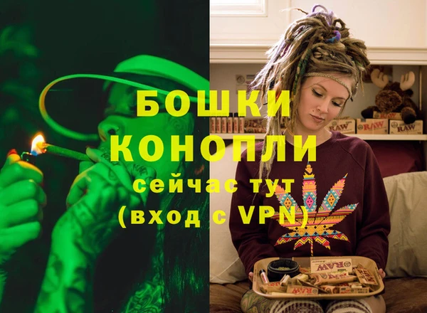 стафф Пестово