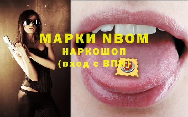 гидра Покачи